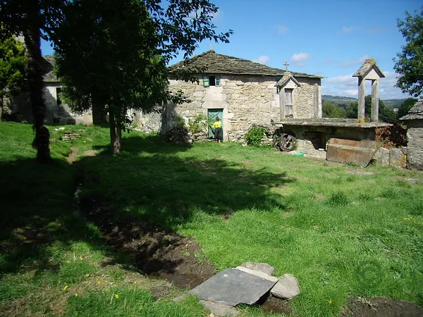 Spot image