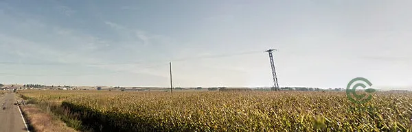 Spot image