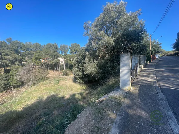 Spot image
