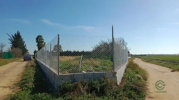 Spot image