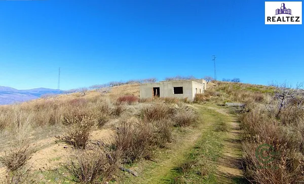 Spot image