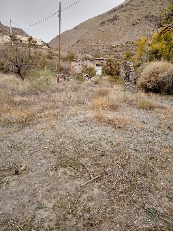 Spot image