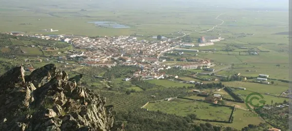 Spot image
