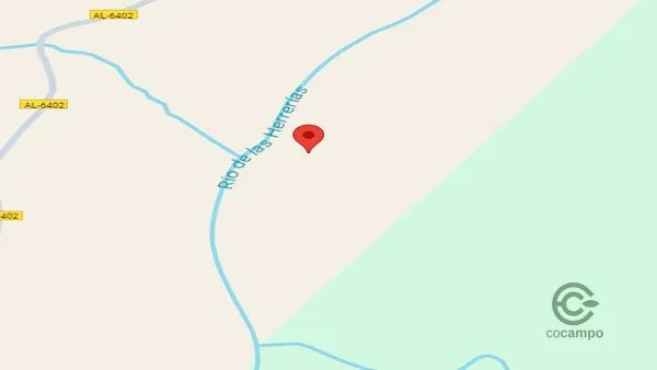 Spot image