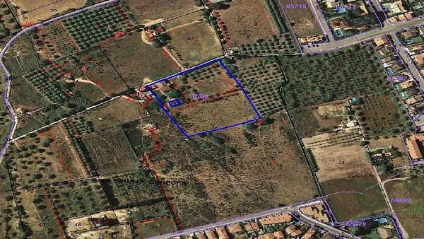 Spot image