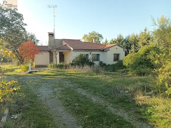 Spot image