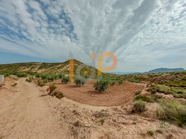 Spot image