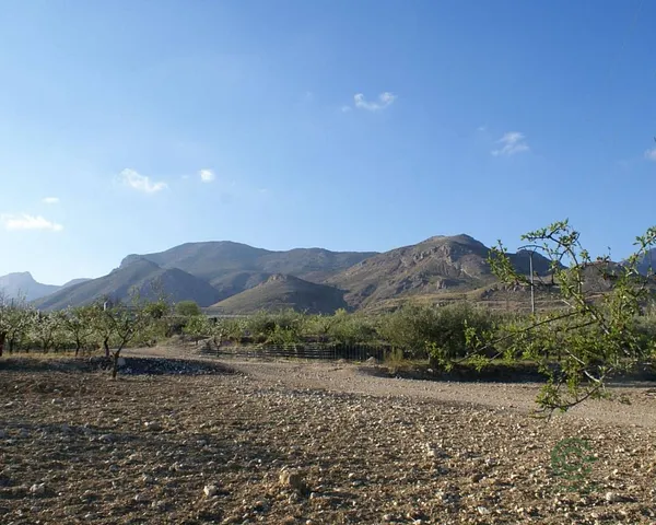 Spot image