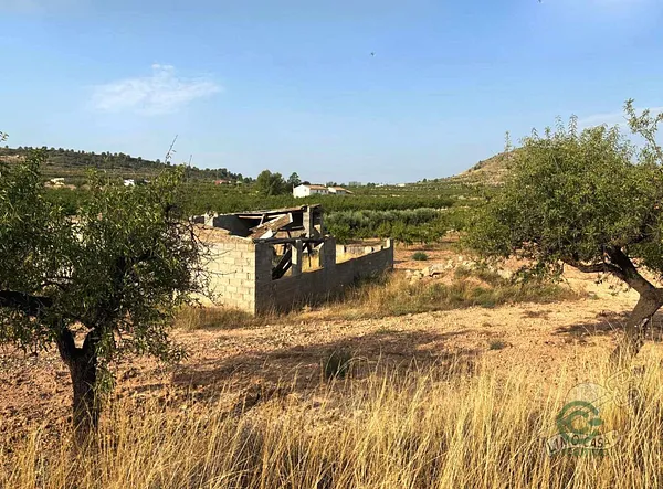 Spot image
