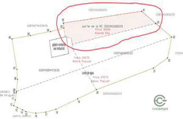 Spot image