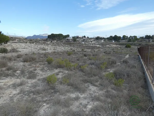 Spot image