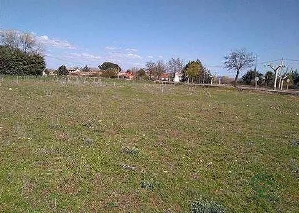 Spot image