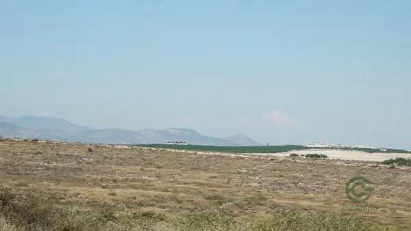 Spot image