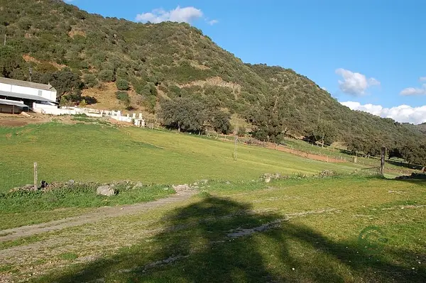 Spot image