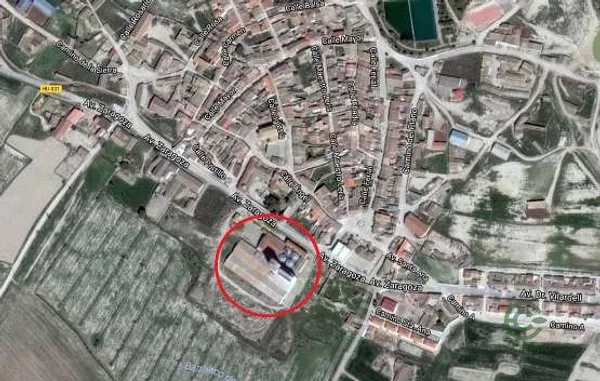Spot image