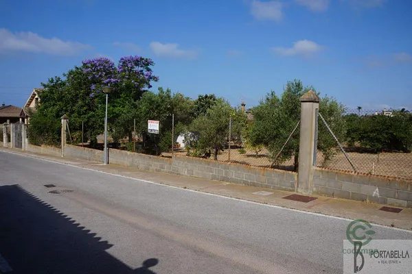 Spot image