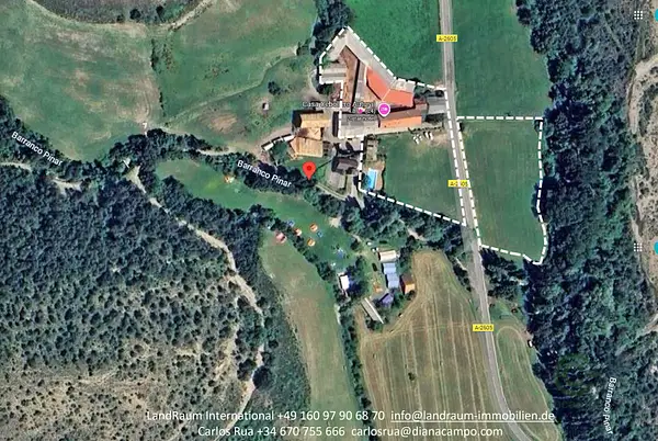 Spot image