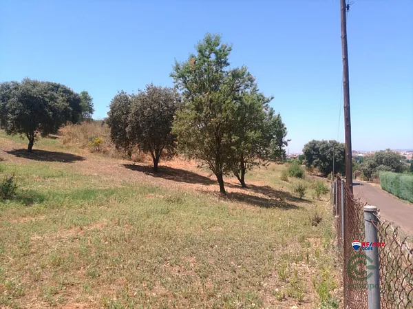 Spot image