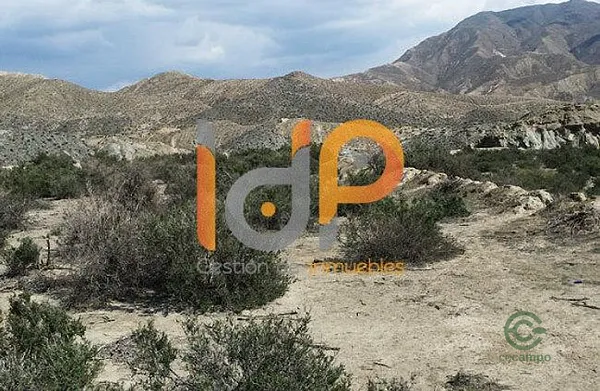 Spot image
