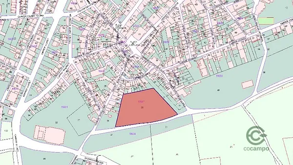 Spot image
