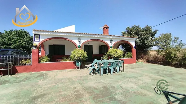 Spot image