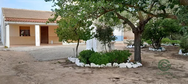 Spot image