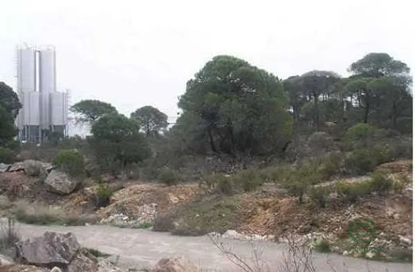 Spot image