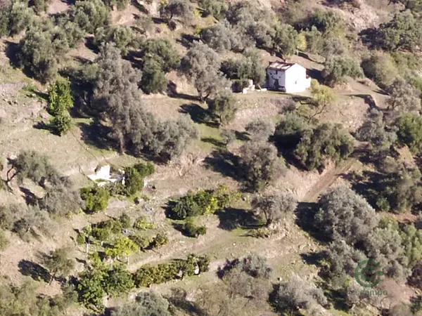 Spot image