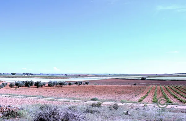 Spot image