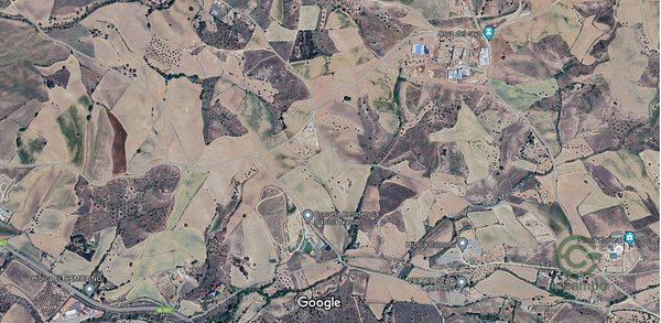 Spot image