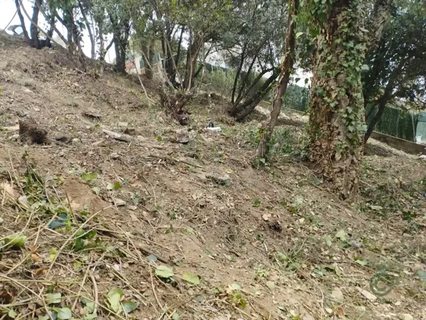 Spot image