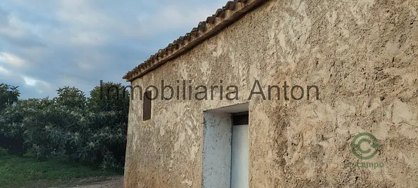 Spot image