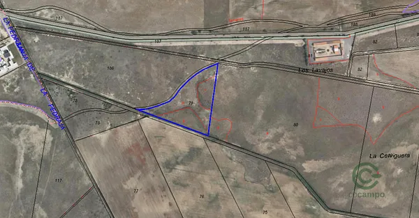 Spot image