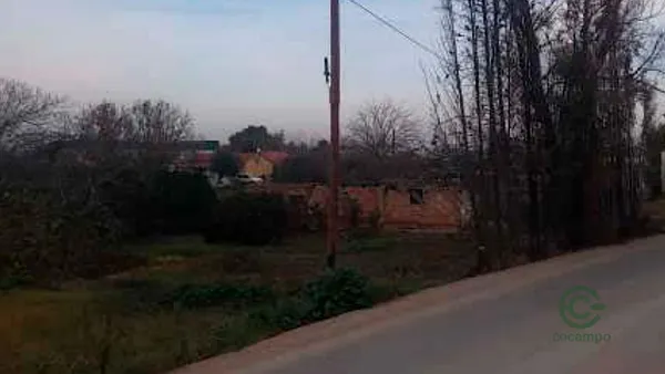 Spot image