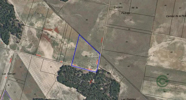Spot image