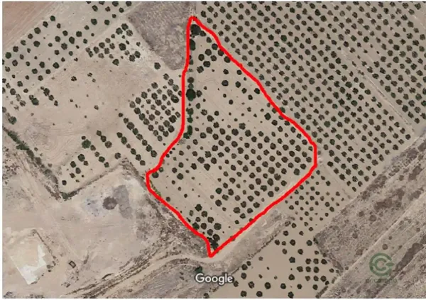 Spot image