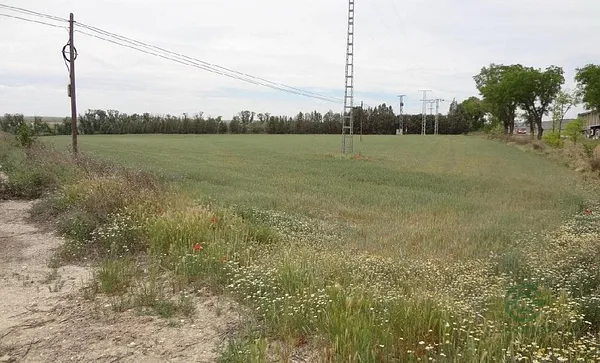 Spot image