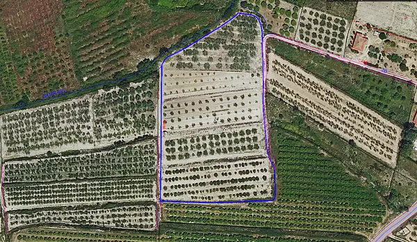Spot image