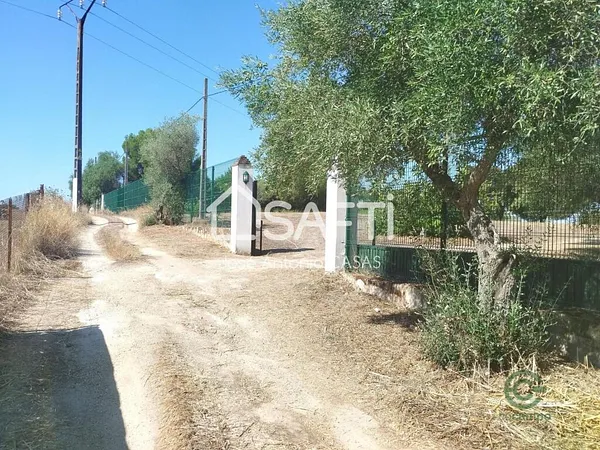 Spot image