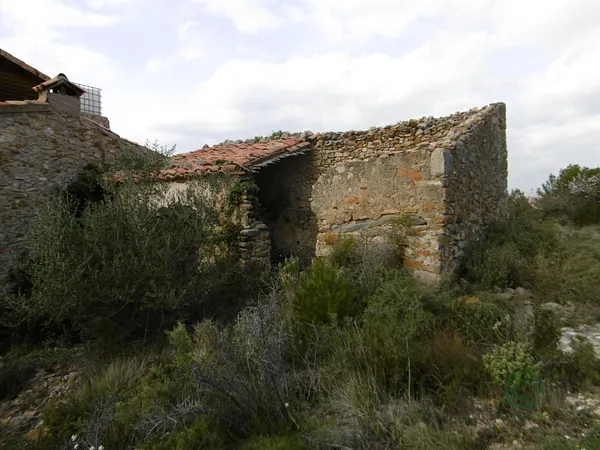 Spot image