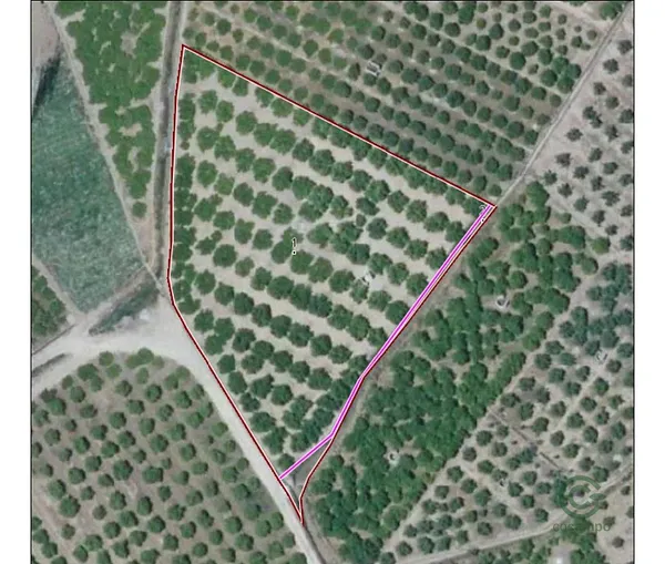 Spot image