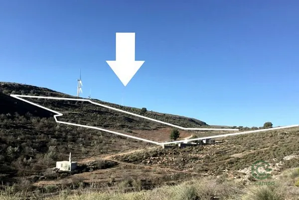 Spot image