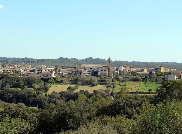 Spot image