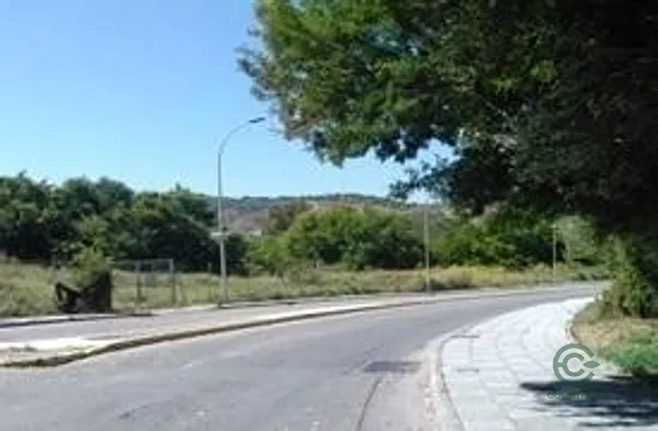Spot image