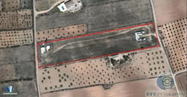 Spot image