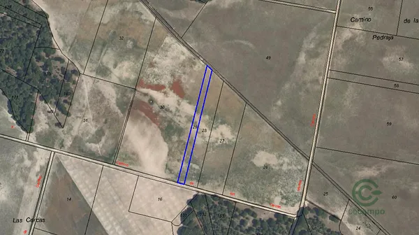 Spot image