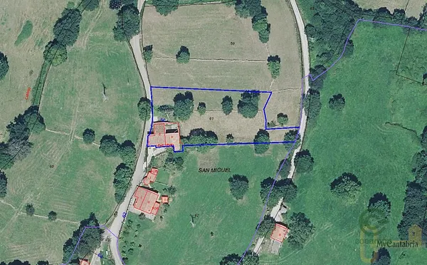 Spot image