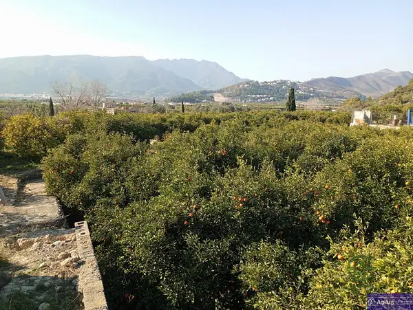 Spot image