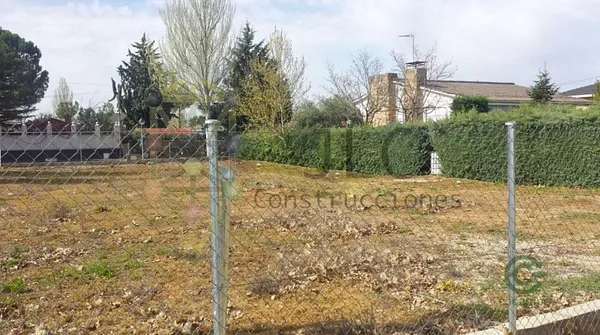 Spot image