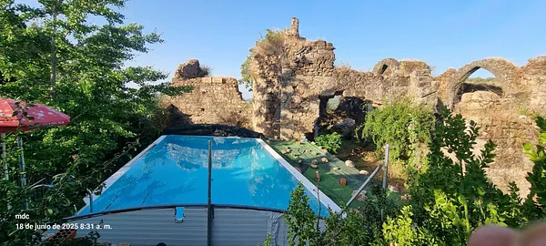 Spot image